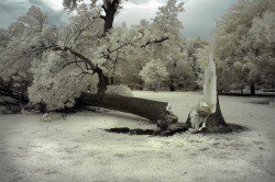 Disaster Recovery